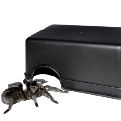 Jaskinia miska na wodę i pokarm 17 cm Terrario CubeCave