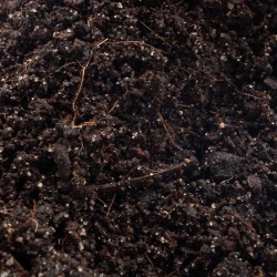 Podłoże bioaktywne do terrarium