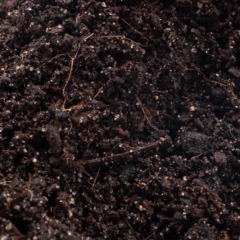 Podłoże bioaktywne do terrarium