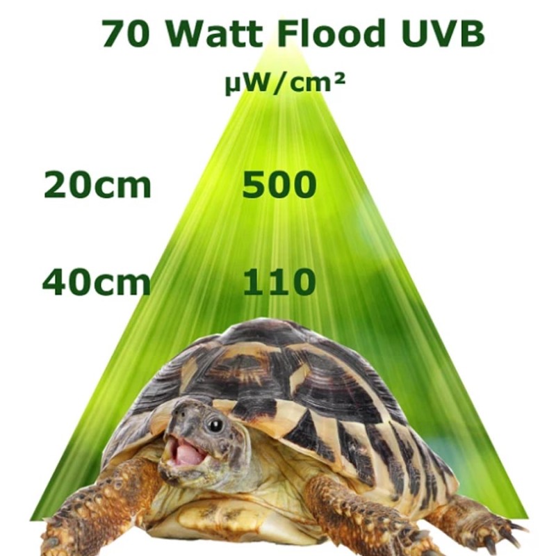 Metahalogen UVB Flood REPTILES EXPERT