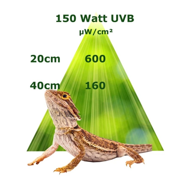 Metahalogen UVB Flood REPTILES EXPERT