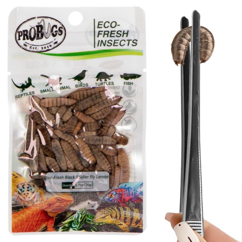 Świeże larwy muchy czarnej - ProBugs Eco-Fresh Black Solider Fly Larvae 20g Świeże larwy muchy czarnej - ProBugs Eco-Fresh Black Solider Fly Larvae 20g