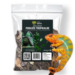 Podłoże tropikalne do terrarium