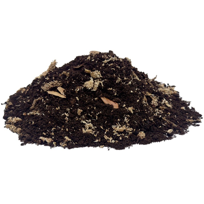 Podłoże tropikalne do Terrarium