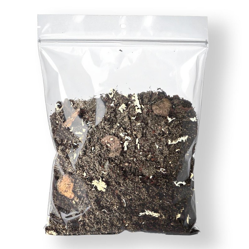Podłoże dla gekonów orzęsionych New Caledonia Soil