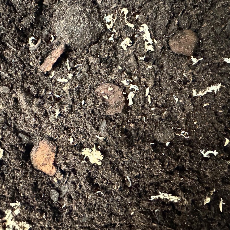 Podłoże dla gekonów orzęsionych New Caledonia Soil