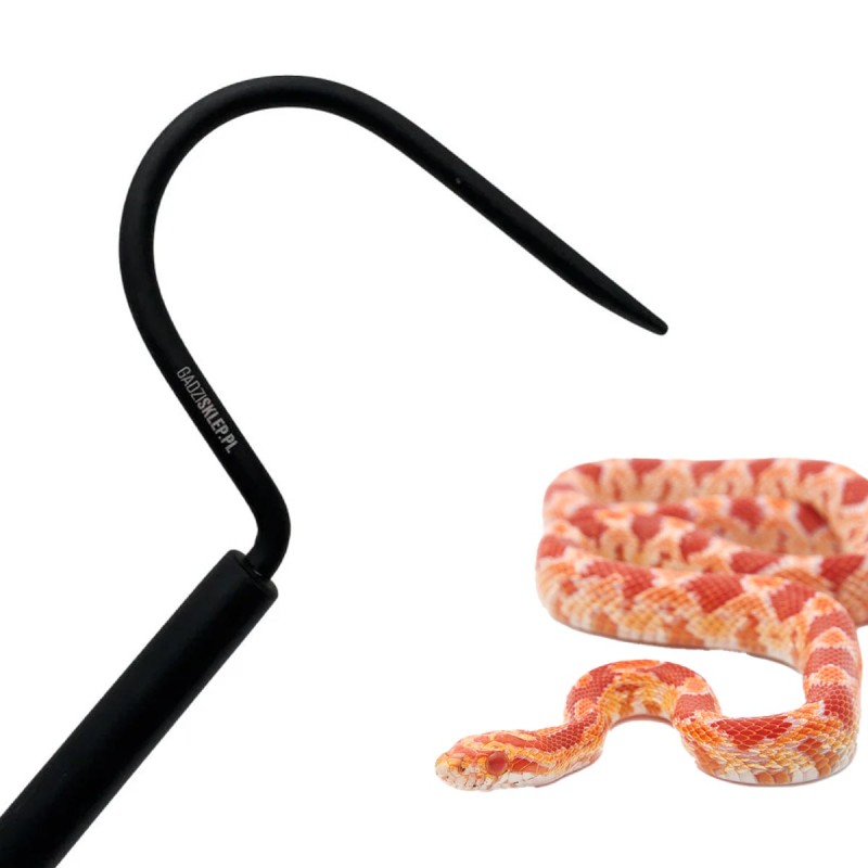 Hak ofiologiczny na węże czarny