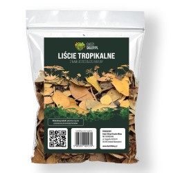 Liście tropikalne Liście tropikalne