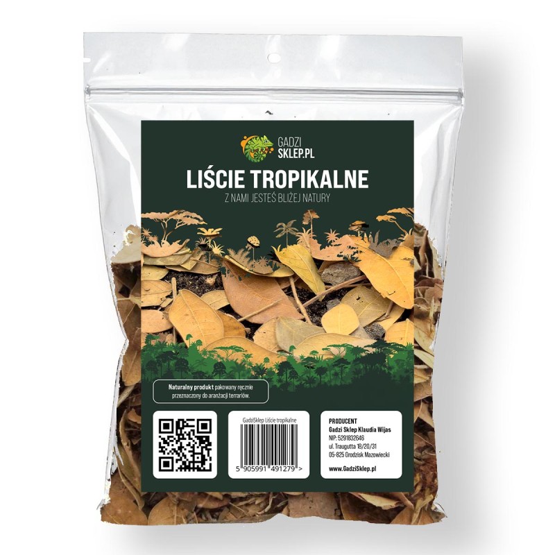 Liście tropikalne Liście tropikalne