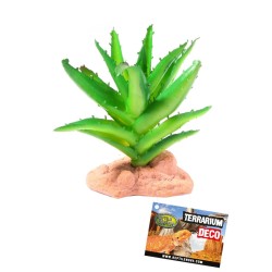 Roślina sztuczna Sukulent 13cm Reptile Nova