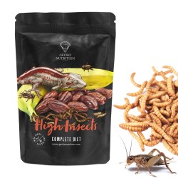 Gecko Nutrition Banan Insekty