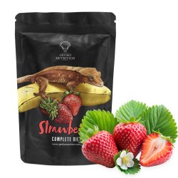 Gecko Nutrition Banan Truskawka