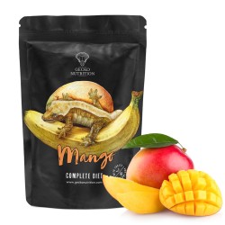 Gecko Nutrition Banan Mango