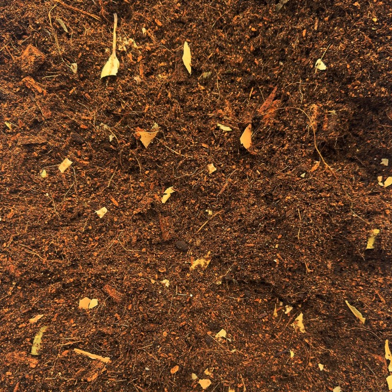 Podłoże dla ptaszników do Terrarium