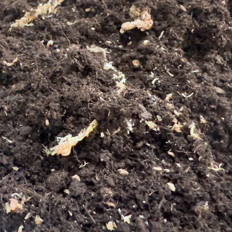 Podłoże dla żab do Terrarium