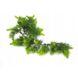 Roślina sztuczna Malaysian Fern ZOOMED