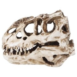 Czaszka Tyranozaura 16cm ATD