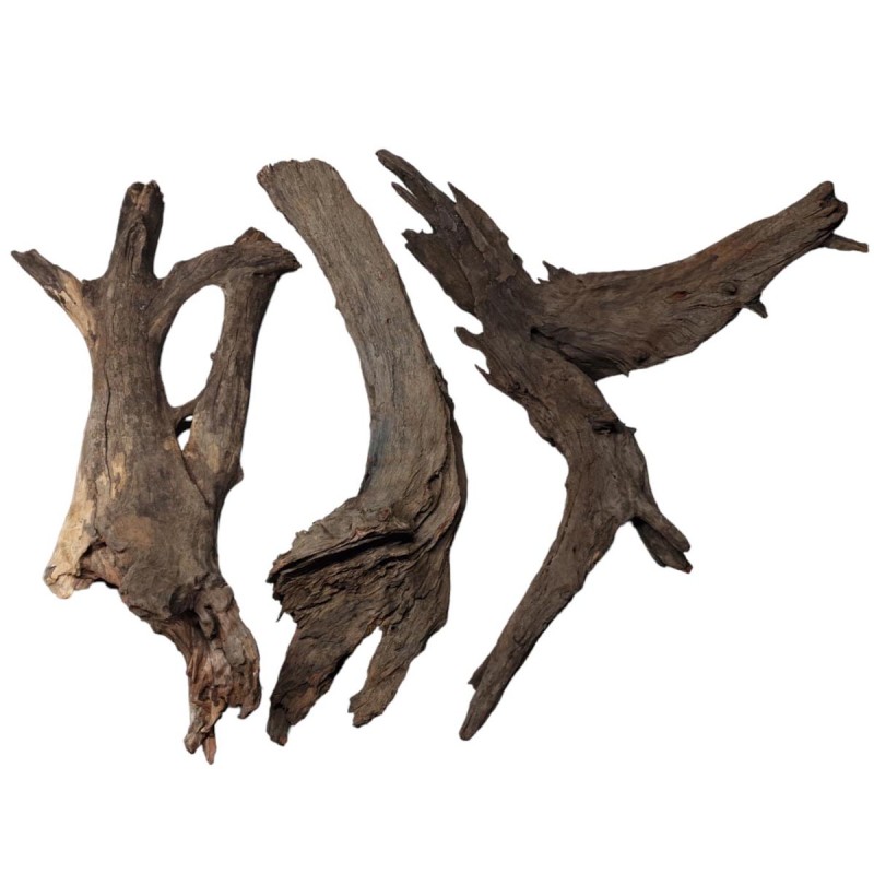 Korzeń Buddha DriftWood