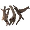 Korzeń Buddha DriftWood