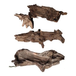 Korzeń Buddha DriftWood