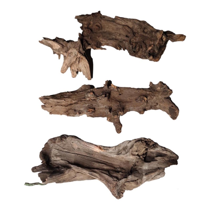 Korzeń Buddha DriftWood