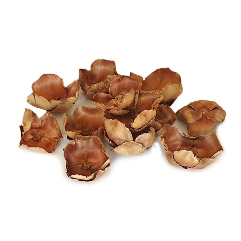 Naturalne kwiaty palmy 6-12cm Palm Cap