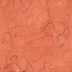 Podłoże dla Gekona Lamparciego