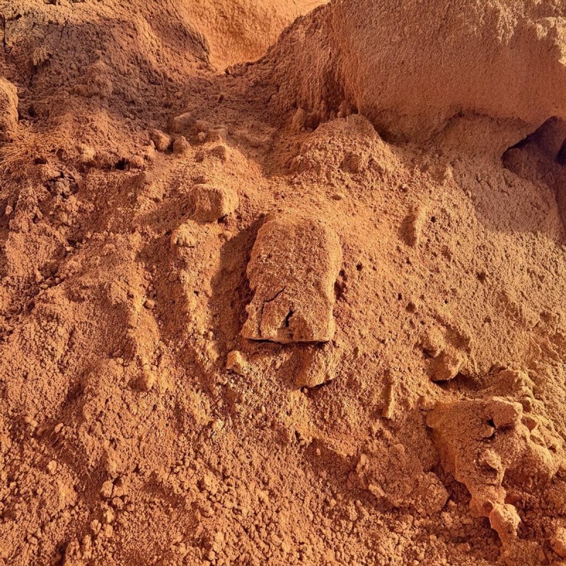 Podłoże dla Gekona Lamparciego