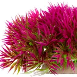 Roślina Sztuczna Mini Grass Pink 6cm Kruger Meier