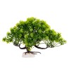Roślina Sztuczna Bonsai 14cm Kruger Meier