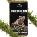 Mech torfowiec 100g ForestHeart Sphagnum TERRARIO
