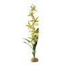 Storczyk Spider Orchid 43cm EXO TERRA