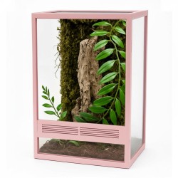 Zestaw dla pająka nadrzewnego 10x10x15cm z ramkami