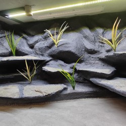 Terrarium dla Agamy Brodatej 120x60x60cm Terrarium dla Agamy Brodatej 120x60x60cm