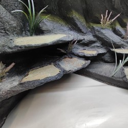 Terrarium dla Agamy Brodatej 120x60x60cm Terrarium dla Agamy Brodatej 120x60x60cm