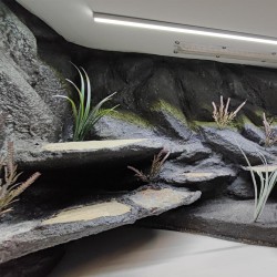 Terrarium dla Agamy Brodatej 120x60x60cm