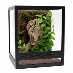 Zestaw terrarium szklane 15x15x15cm z ramkami