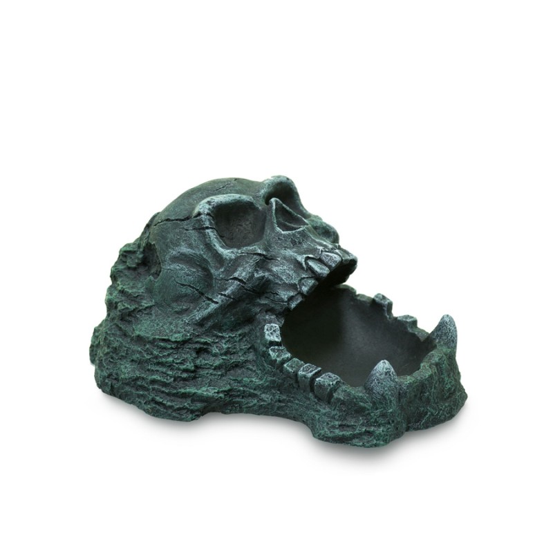 Miska skała z czaszką 20cm Terra Natura