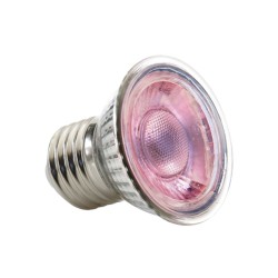 Żarówka LED Spot 5W Daylight EXO TERRA
