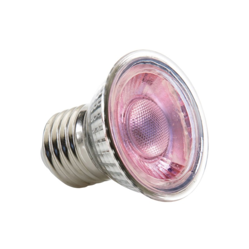 Żarówka LED Spot 5W Daylight EXO TERRA