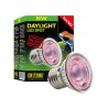 Żarówka LED Spot 5W Daylight EXO TERRA