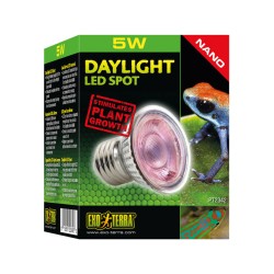 Żarówka LED Spot 5W Daylight EXO TERRA