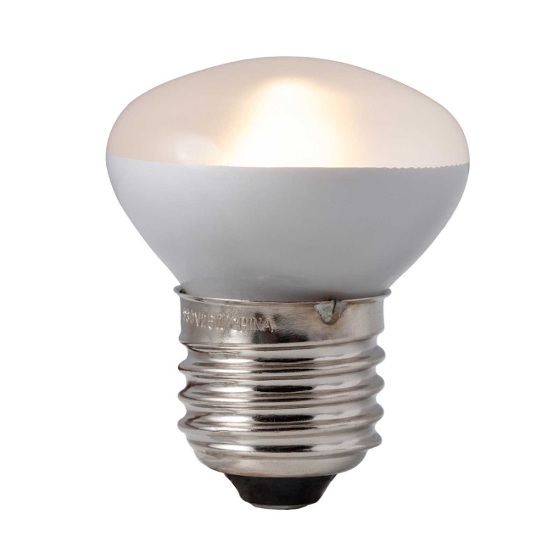 Żarówka dzienna 25W Daylight NANO EXO TERRA