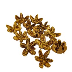 Susz egzotyczny 7-10cm Kartush