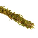Liana z naturalnym mchem 1,5cm x 2m Repti-Zoo
