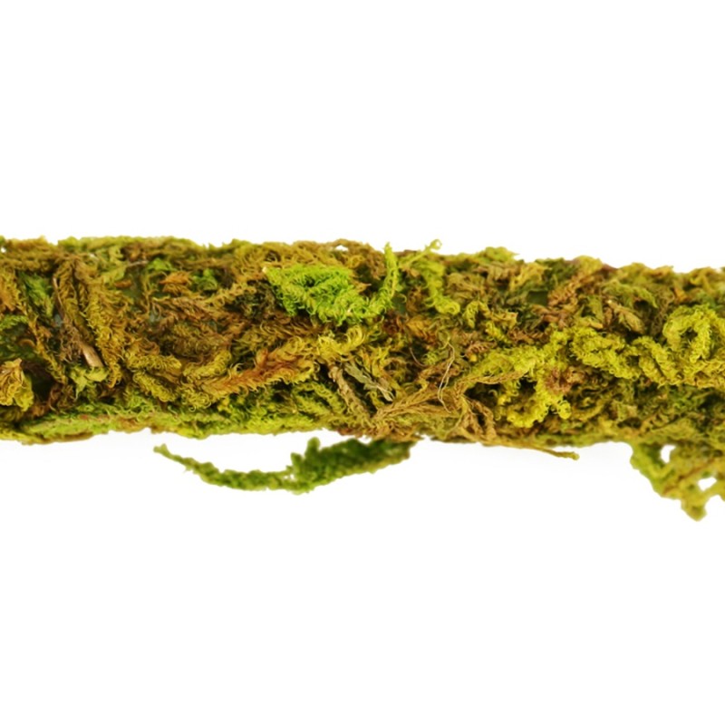 Liana z naturalnym mchem 1,5cm x 2m Repti-Zoo