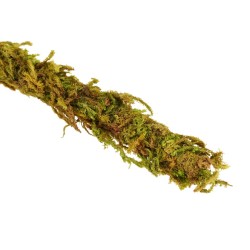 Liana z naturalnym mchem 1cm x 2m Repti-Zoo Liana z naturalnym mchem 1cm x 2m Repti-Zoo