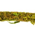 Liana z naturalnym mchem 2cm x 2m Repti-Zoo Liana z naturalnym mchem 2cm x 2m Repti-Zoo