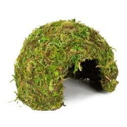 Kryjówka z naturalnym mchem Mossy Dome S Repti-Zoo