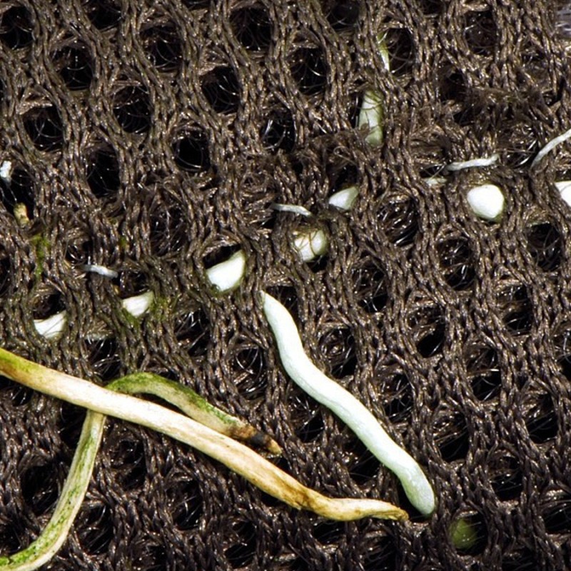 Hydrolon 59x44cm Rainforest Plant Cotton Wacool Hydrolon 59x44cm Rainforest Plant Cotton Wacool